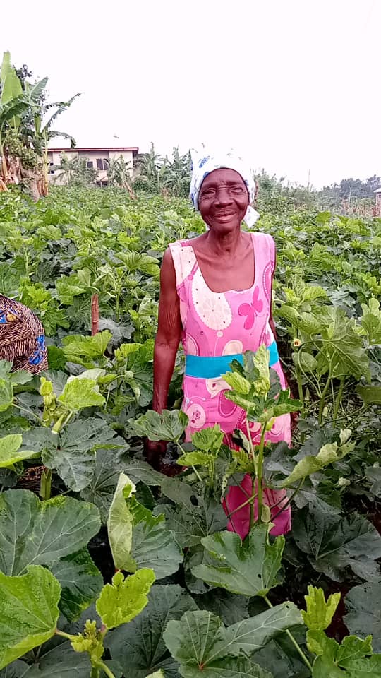 Progress in the field