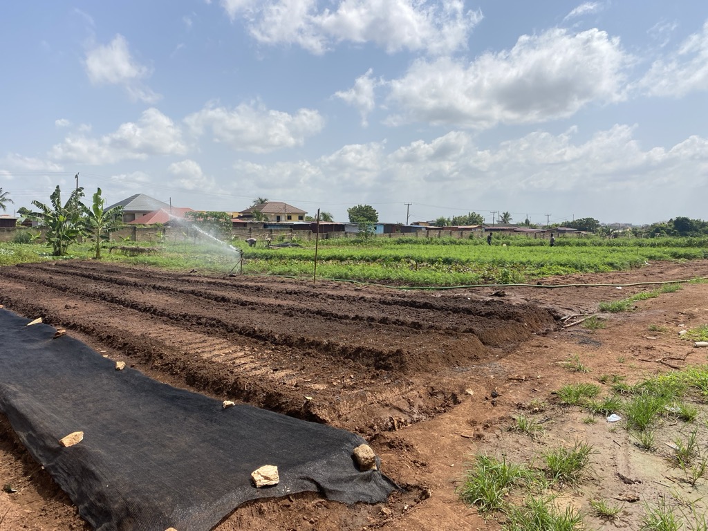 Progress in the field