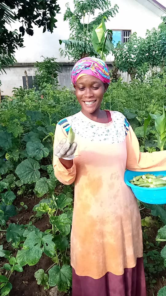 Progress in the field