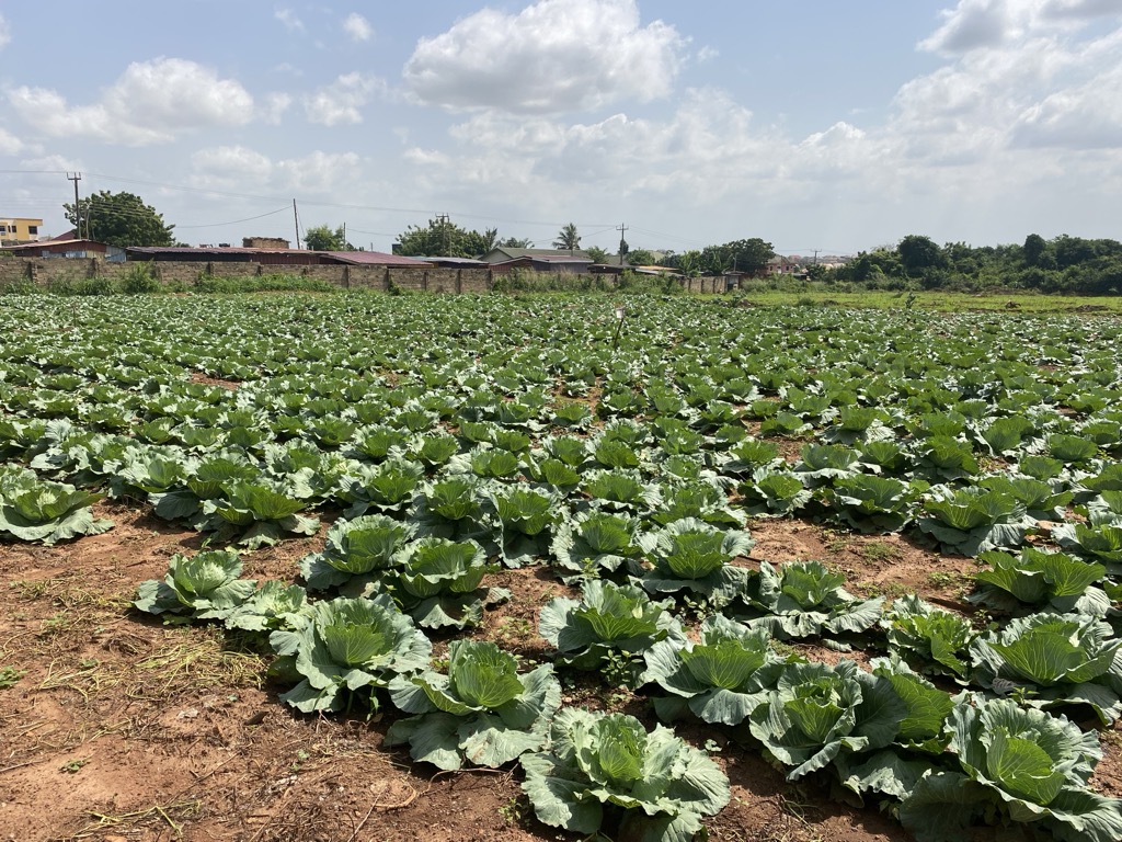 Progress in the field