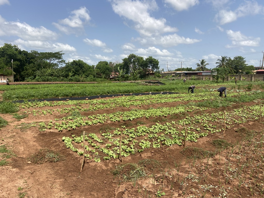 Progress in the field
