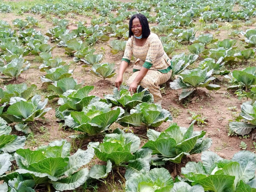 Progress in the field