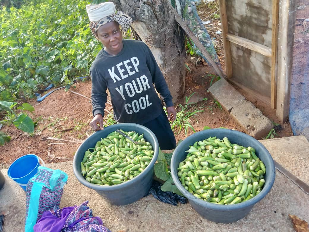 Progress in the field