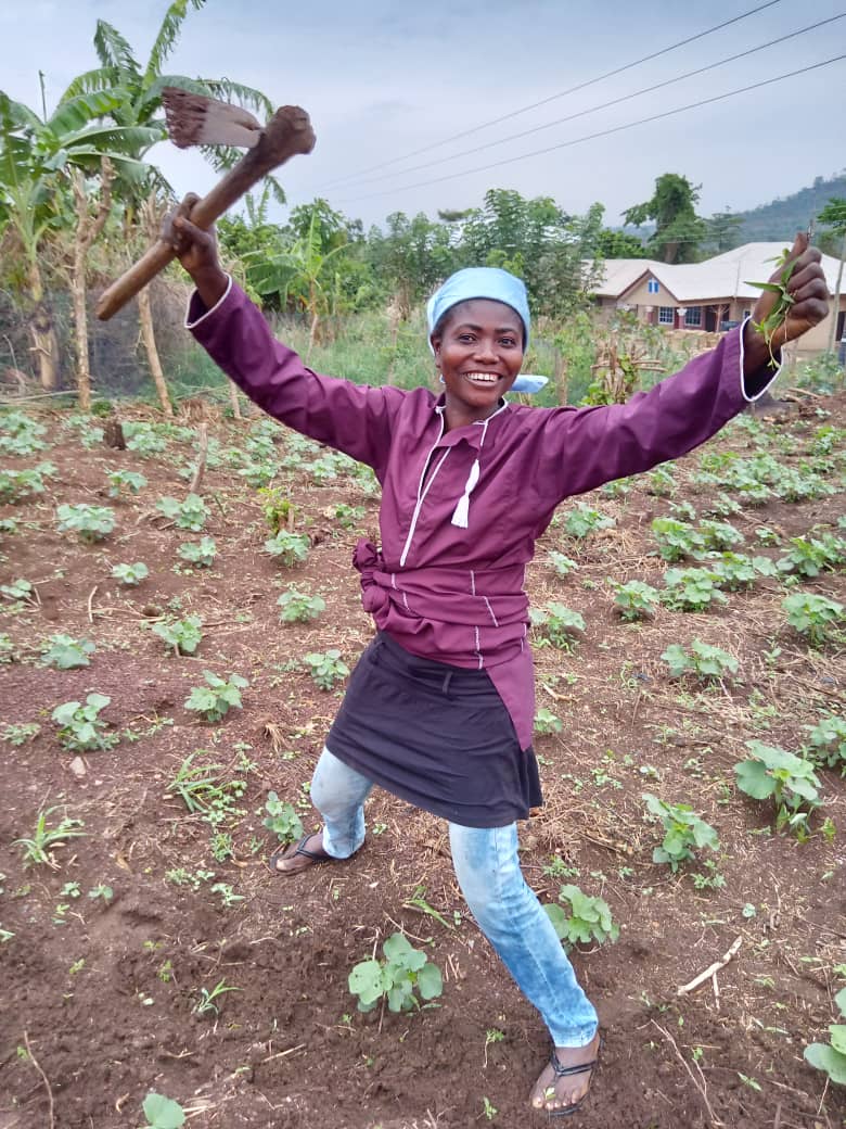 Progress in the field